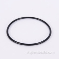 Vòng cơ khí PTFE Spring Loaded Oil Seals